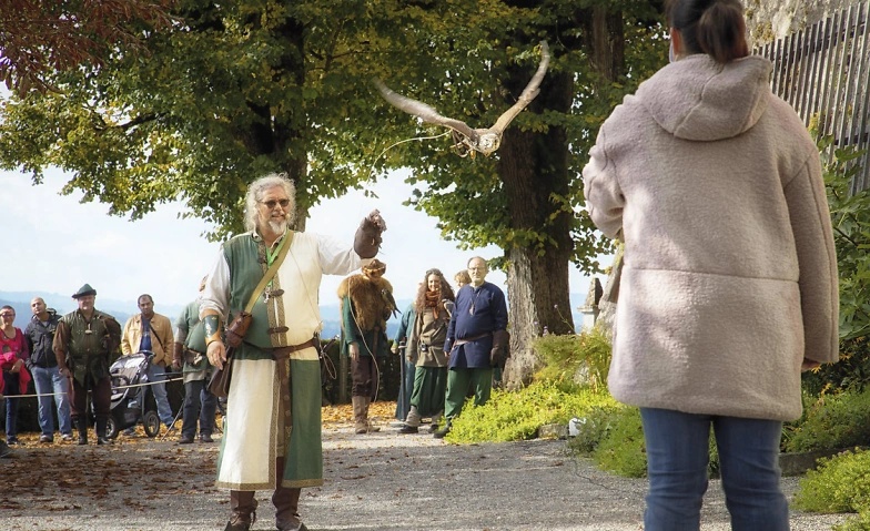 Event-Image for 'Von Adler bis Eule: Greifvögel auf dem Schloss'