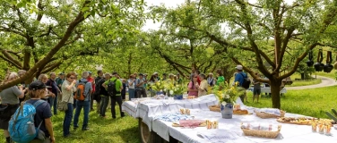 Event-Image for 'Gönner-Mitgliedschaft Baselland Tourismus'