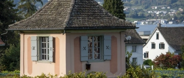 Event-Image for 'Stock 58 Müller-Thurgau: Vom Sämling zur Sensation'