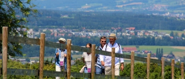 Event-Image for 'Weinspaziergang auf dem Sonnenberg'