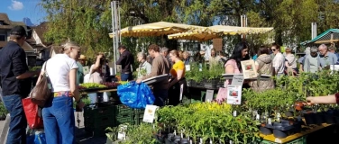 Event-Image for 'Thuner Wildpflanzenmärit'
