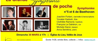 Event-Image for 'La Grande Symphonie de poche : le Destin et la Pastorale'