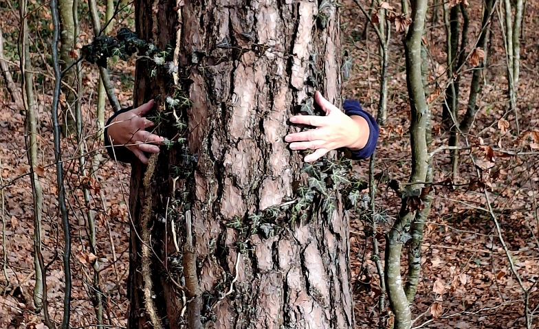 Achtsamer Waldspaziergang mit allen Sinnen in Allensbach! Billets