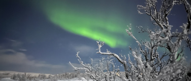 Event-Image for 'Abenteuer StadtNatur: Sonne und Polarlichter'