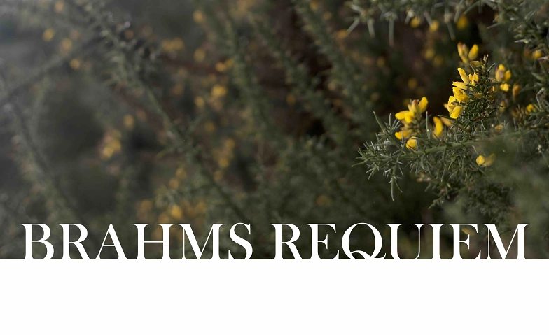 Event-Image for 'Johannes Brahms "Ein deutsches Requiem"'