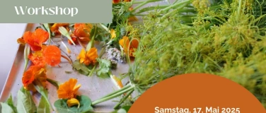 Event-Image for 'Wildkräuter Workshop am Uetliberg'