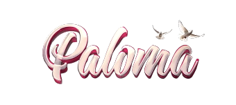 Event organiser of Paloma Event