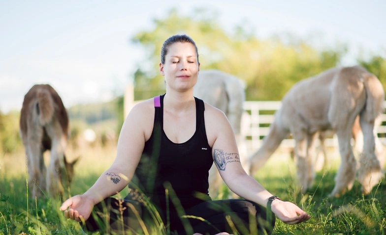 Yoga inmitten Alpakas Landiswil an Auffahrt Billets