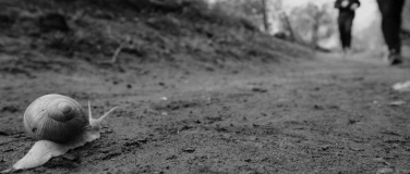 Event-Image for 'Vernissage - "Wenn die Seele ruft"'