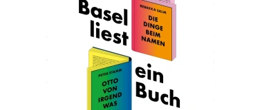 Event-Image for 'Basel liest ein Buch, Lesung mit Rebekka Salm'