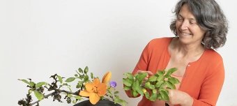 Veranstalter:in von Ikebana - Crashkurs