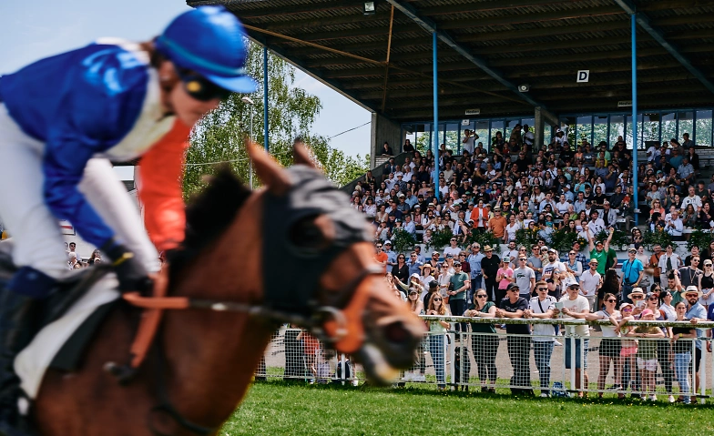 Event-Image for 'Pferderennen am Pfingstmontag'