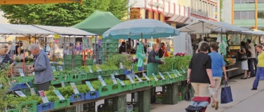 Event-Image for 'Markt Grenchen (vorverschoben wegen Weihnachten)'