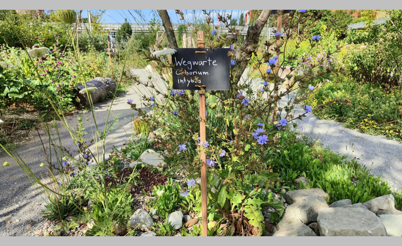 Event-Image for 'Bioterra Feierabend Gärtnern'