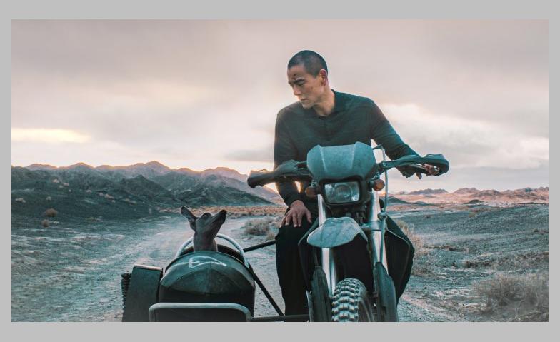 Event-Image for 'Black Dog'