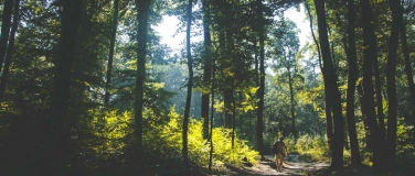 Event-Image for 'Naturexkursion «Waldluft. Ökologie & Nadelhölzer»'