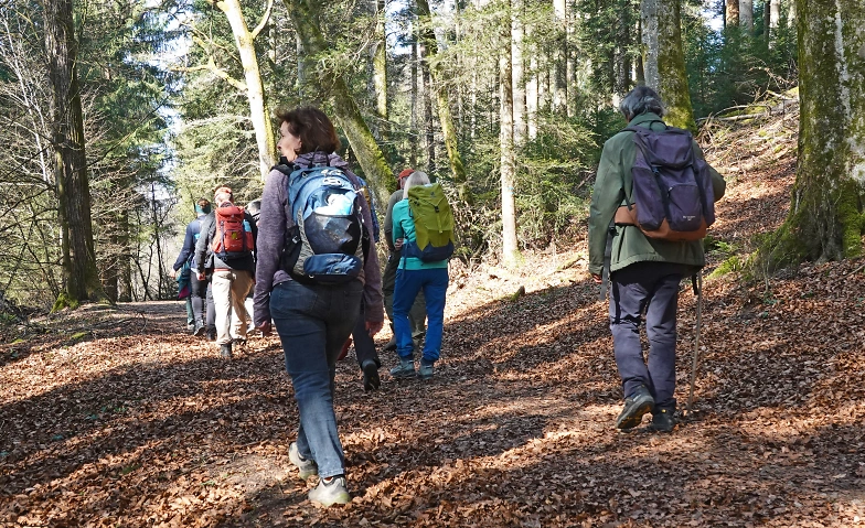 Event-Image for 'Sternwanderung von Vorderrein, Bruggerberg, Geissenschachen'