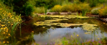 Event-Image for 'Free Your Mind: Awaken Your Intuition'