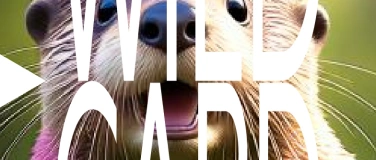 Event-Image for 'Wild Card mit DJ COCO XO (they/them)'