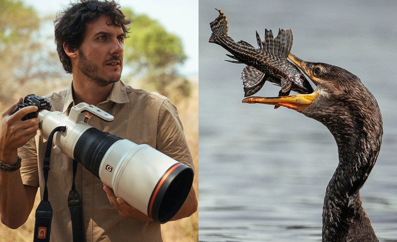 Sony α Day - Wildlife Special Schweizerische Vogelwarte Billets