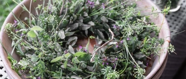 Event-Image for 'Kranz binden aus Naturmaterialien'