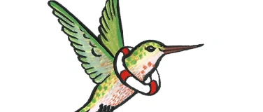 Event-Image for 'Kolibri Bibliothekswerkstatt'