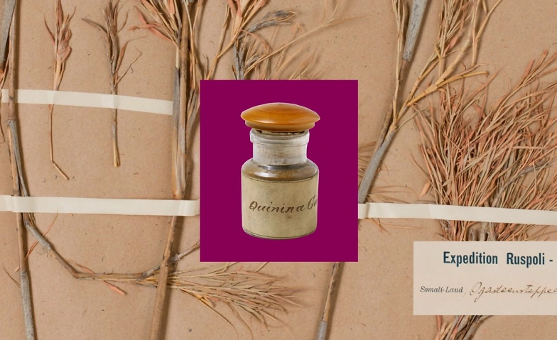 Event-Image for 'Koloniale Spuren – Sammlungen im Kontext'