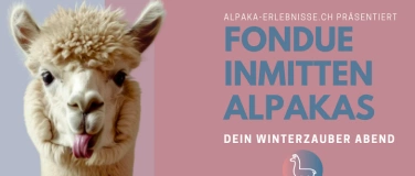 Event-Image for 'Fondue inmitten Alpakas'