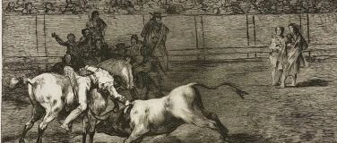 Event-Image for 'Vortrag «Was tun, wenn das Pferd das Bein bricht?»'