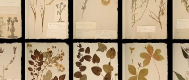 Event-Image for 'Finissage: Die ganze Welt in einem Herbarium'