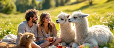 Event-Image for 'Picknick inmitten Alpakas, Schlösslihof, Oetwil am See'