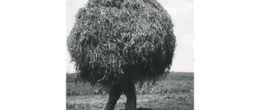 Event-Image for 'Fotoatelier Wolgensinger - Führung'