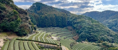 Event-Image for 'Japanische Teekultur'