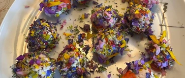 Event-Image for 'Blüten aus der Umgebung - thematische Wanderung'
