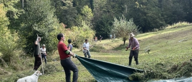 Event-Image for 'Im Einsatz für die Natur im Biotop Bösmösli'