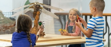 Event-Image for 'Internationaler Museumstag im Naturmuseum St.Gallen'