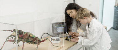 Event-Image for 'Jugendlabor Bionik: Was kann der Mensch von der Natur lernen'