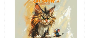 Event-Image for 'Internationale Katzenausstellung in Burgdorf'