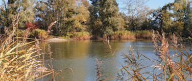Event-Image for 'Kräuterwanderung Rheindelta - Natursafari'