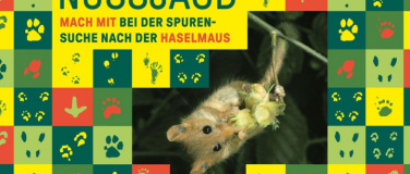 Event-Image for 'Nussjagd – Mach mit bei der Spurensuche nach der Haselmaus'