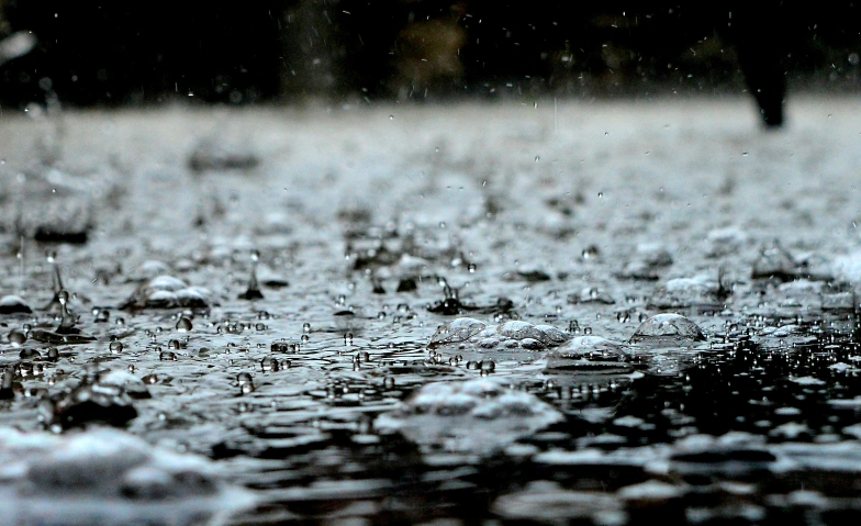 &quot;Regen. Eine Liebeserkl&auml;rung&quot; von Ferdinand von Schirach Billets
