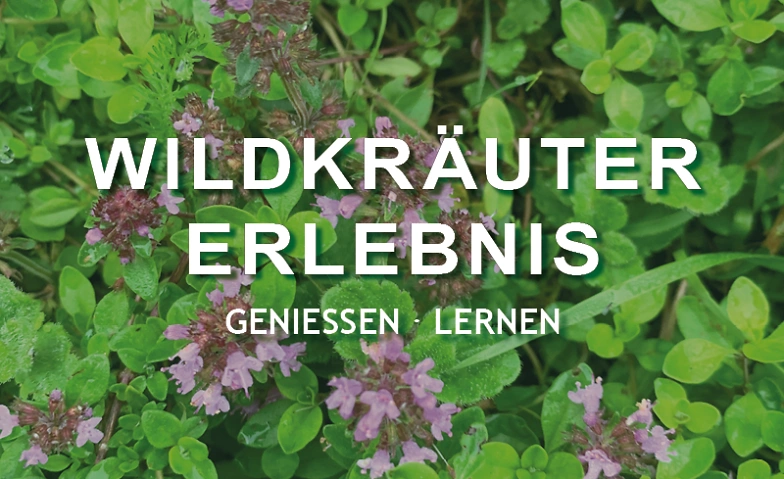 Event-Image for 'Wildkräuter-Erlebnis'