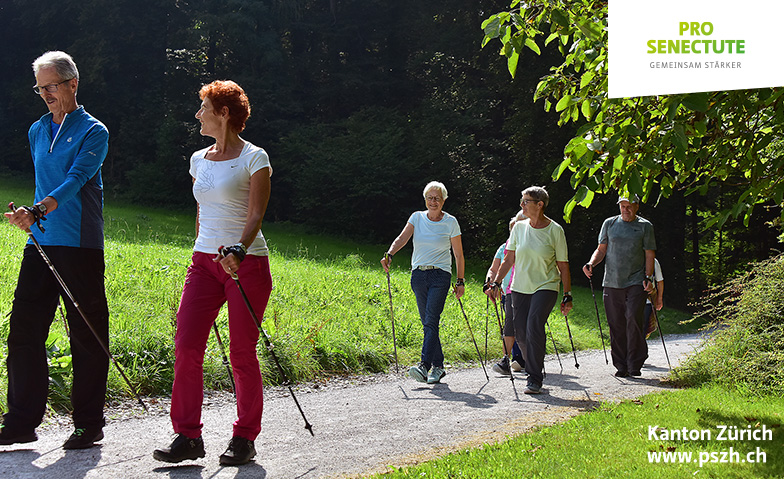 Event-Image for 'Nordic Walking Meilen – NEU'