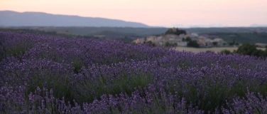 Event-Image for 'Filmabend in der Bibliothek: Kräuterwelten in der Provence'