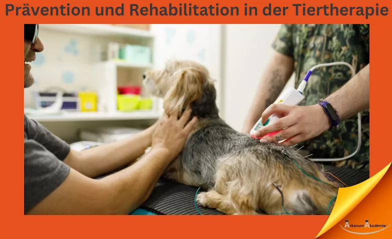 Prävention und Rehabilitation in der Tiertherapie ArkanumAkademie, Oberrindal 39, 9604 Oberrindal Tickets