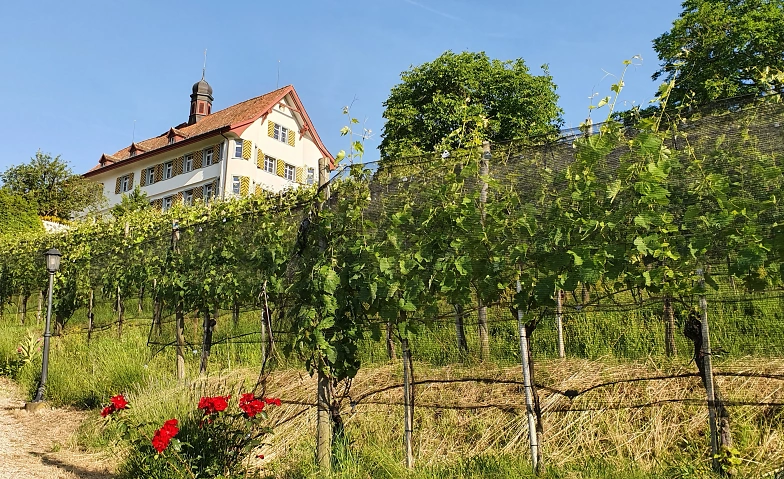 Event-Image for 'Ausstellung Käser/Kreier/Müller/Stiner'