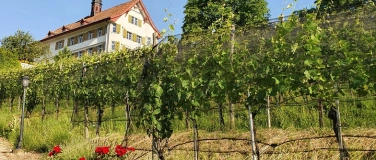 Event-Image for 'Vernissage Käser/Kreier/Müller/Stiner'