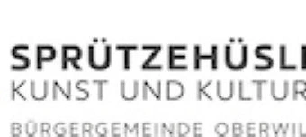 Organisateur de GANZ Da