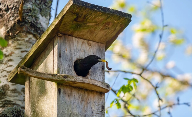 Event-Image for 'Tag der Biodiversität in der Umwelt Arena'