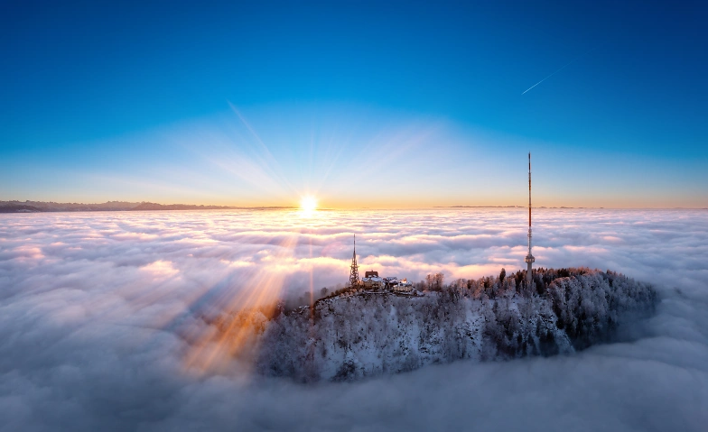 Event-Image for 'Bewegung & Genuss auf dem Uetliberg in Zürich'